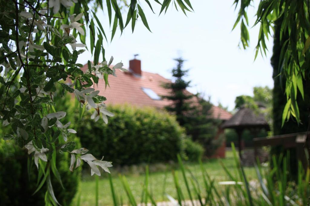 Landhotel Zur Schmiede Göhren-Lebbin Exterior foto
